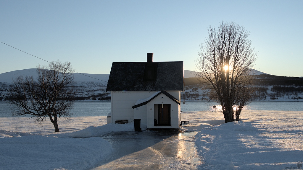 s410 bTromö Haus 8173  1