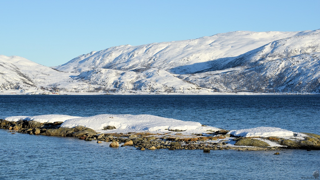 s421 Fjord 9298