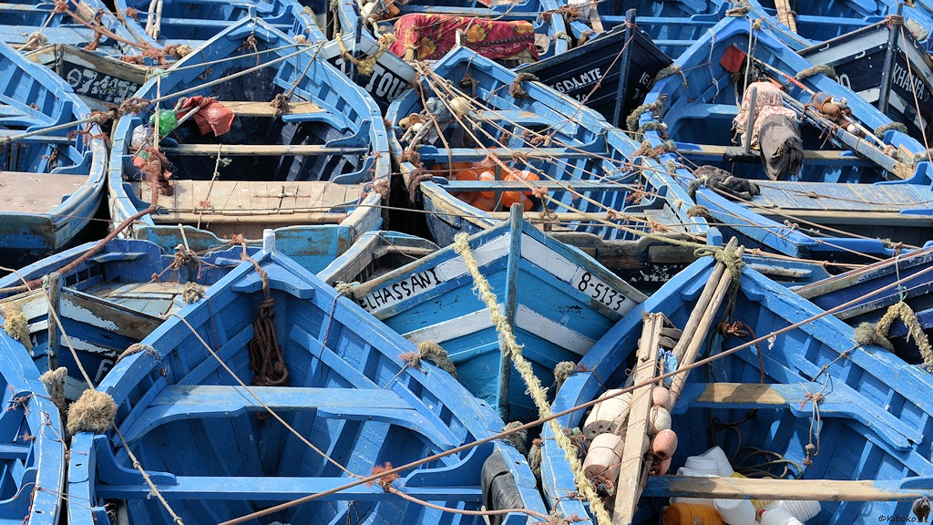 s441 Essaouira Boote 2081