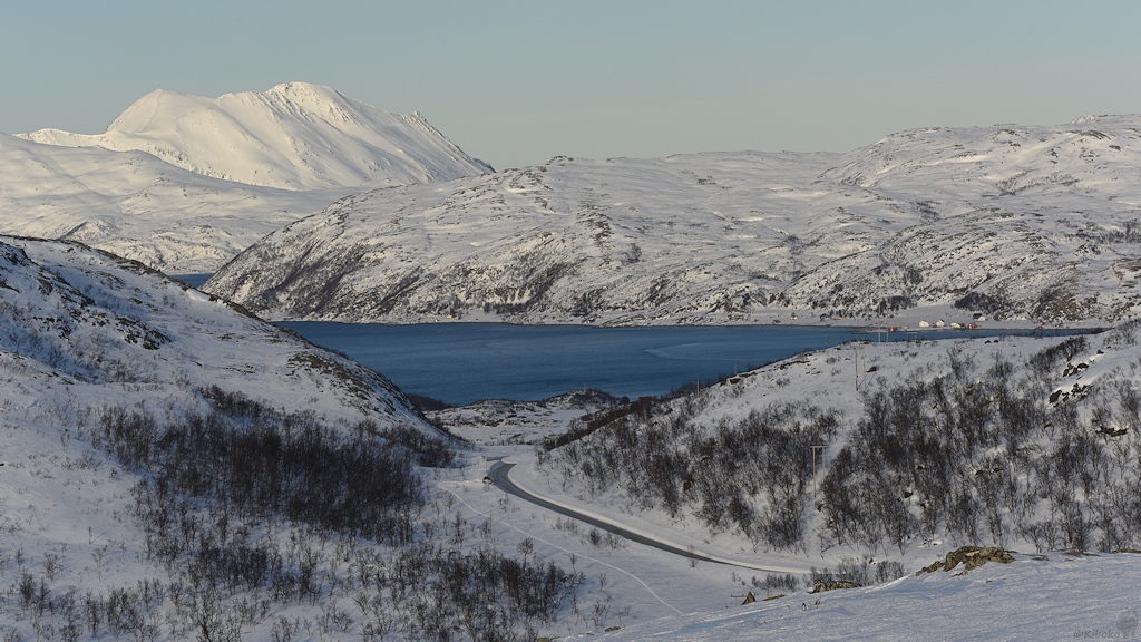 s448 Fjord 9546