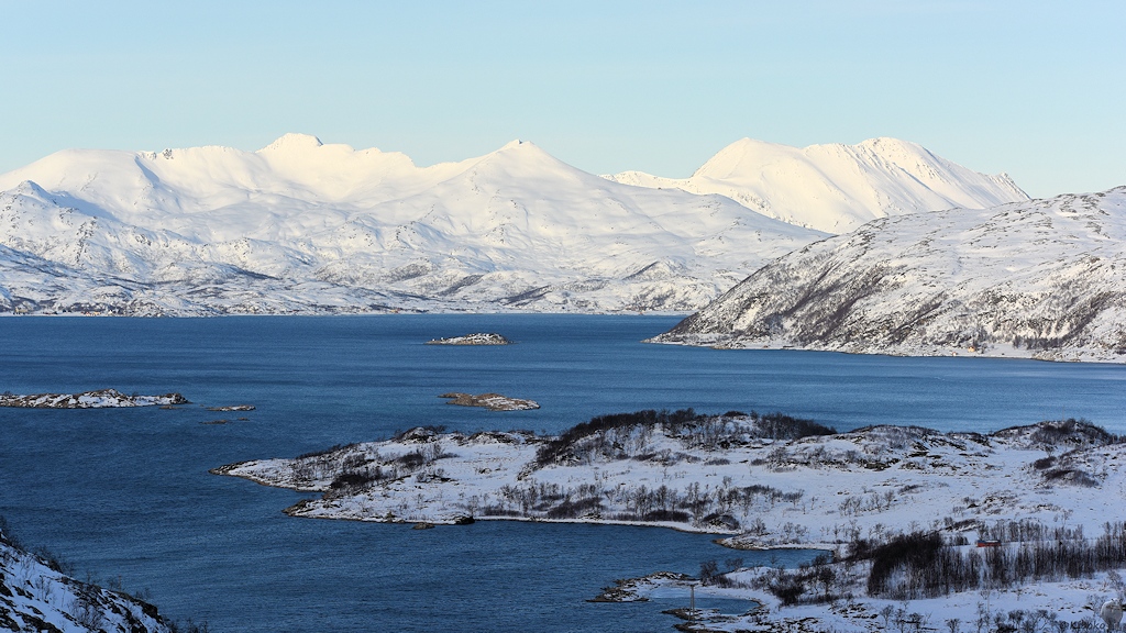 s448 Fjord 9548