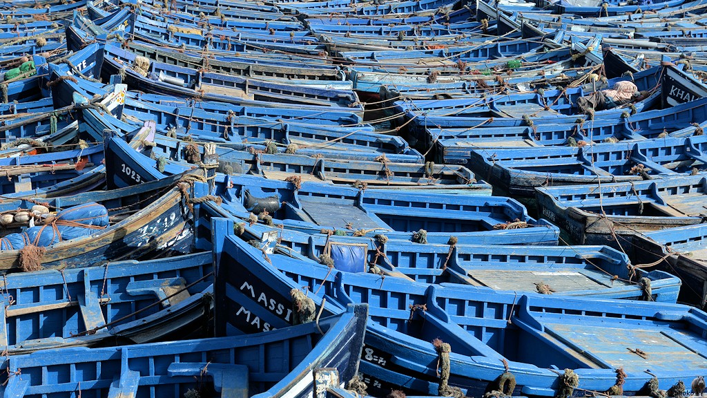 s470 Essaouira Boote 2373