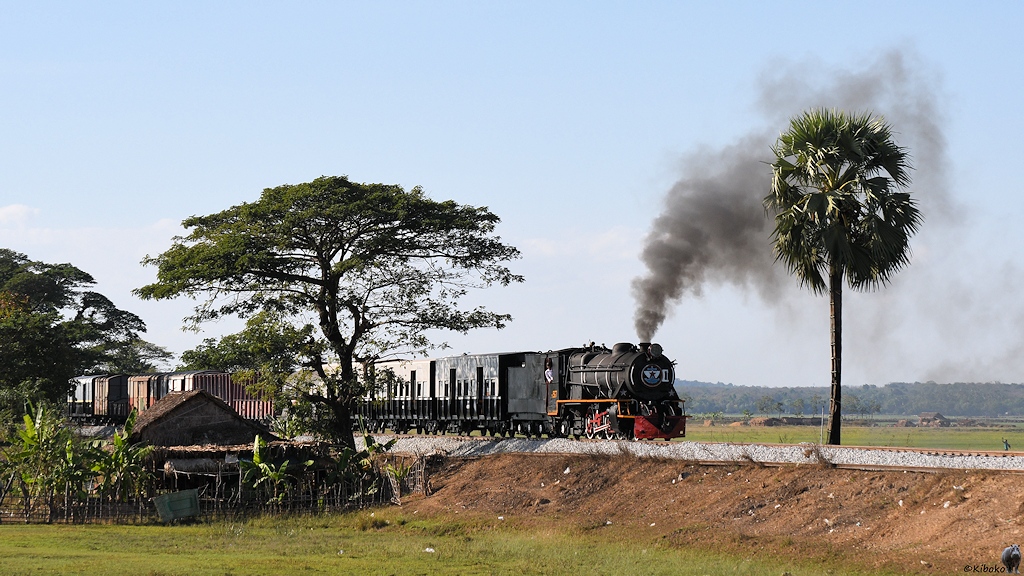 s476 bHninPale YD967 0483