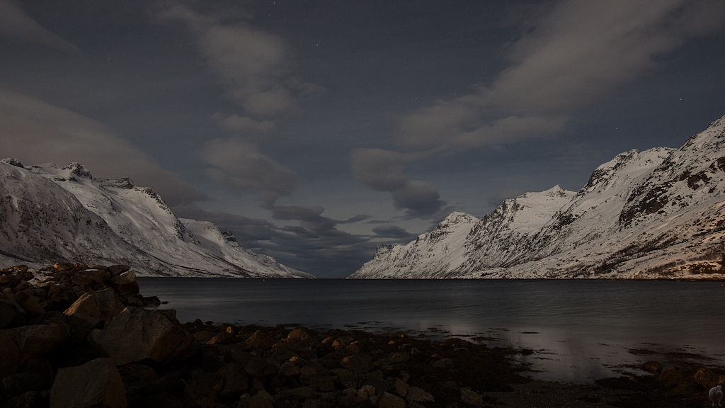 s490 Ersfjordbotn 8312  1