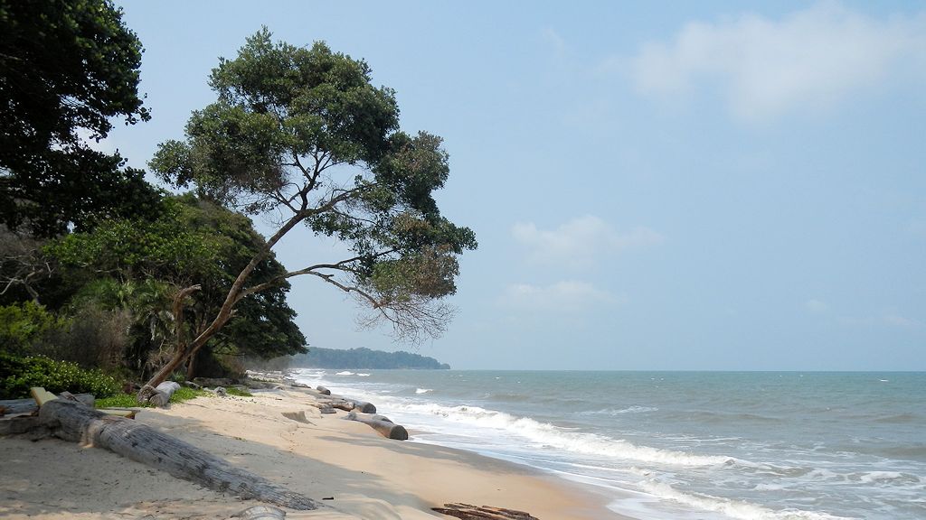 s527 Am Strand der Pongara Lodge 0281