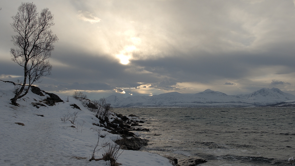 s551 Telegrafenbukta 8340  1