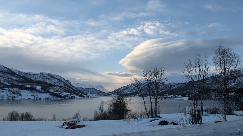 s561 Nordbotn Raumfjorden 8416  1