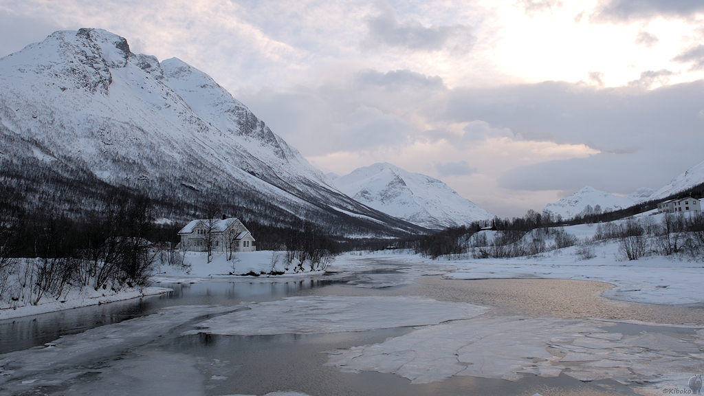 s562 Raumfjord 8423  1