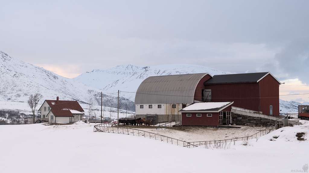 s565 Farm 8449  1