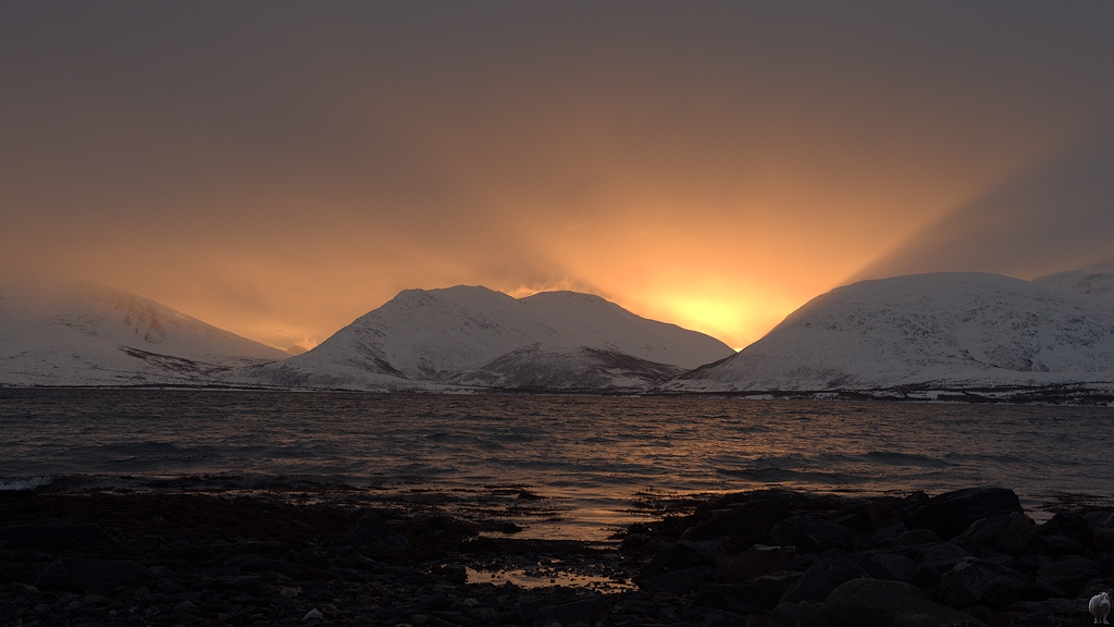 s570 Raumfjordnes Sonnenuntergang 8482  1