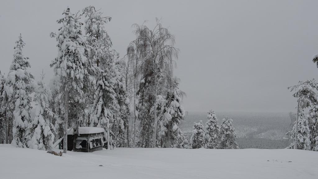 s620 Ansitzhütte 6360  1