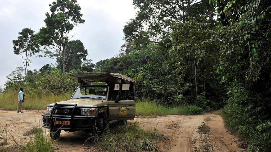 s625 Safariauto im Lope Nationalpark 5739