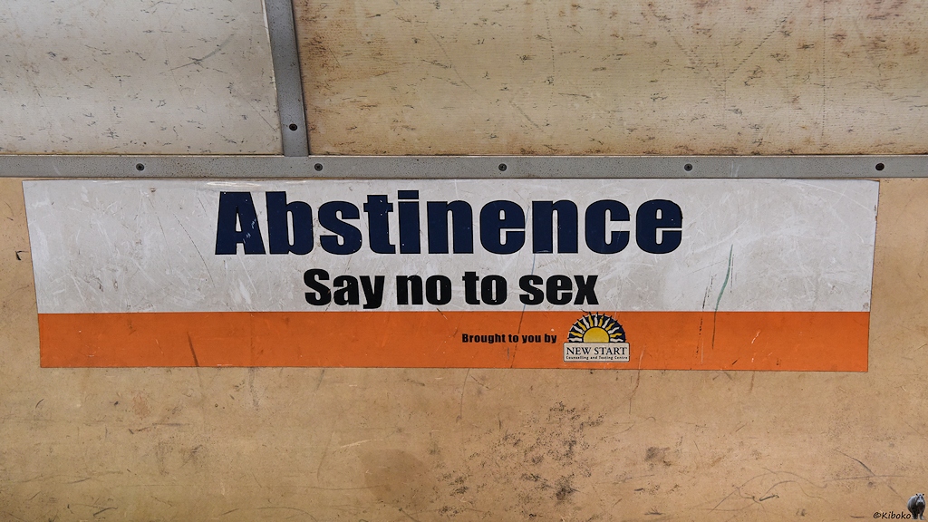 s629 Abstinence 8578