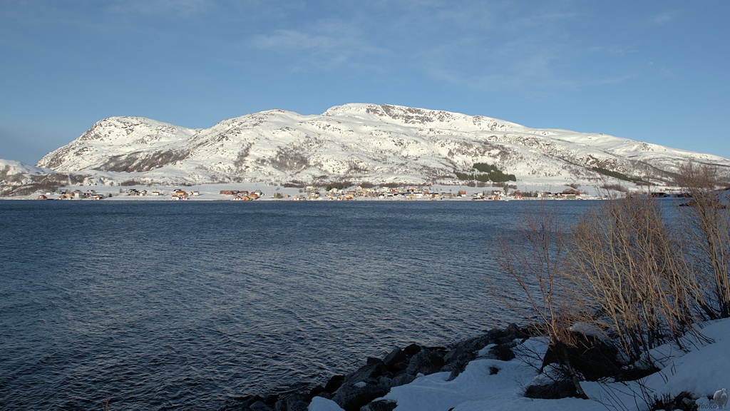 s640 Fjord 8580  1