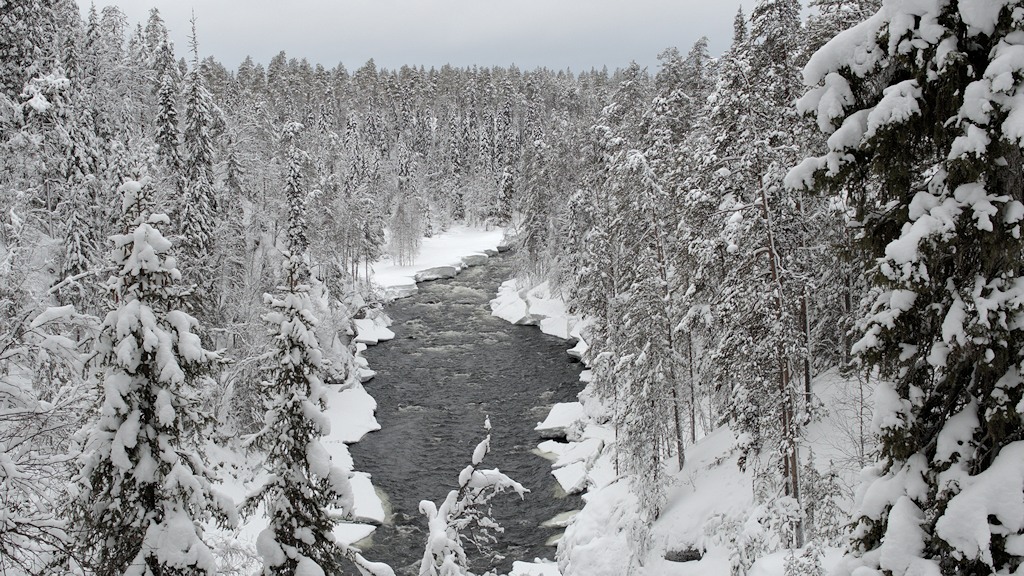 s748 Fluss 8384  5
