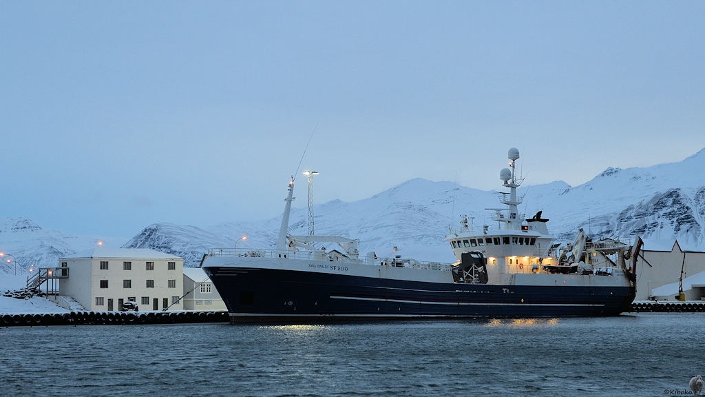 s810 Höfn Schiff 5858