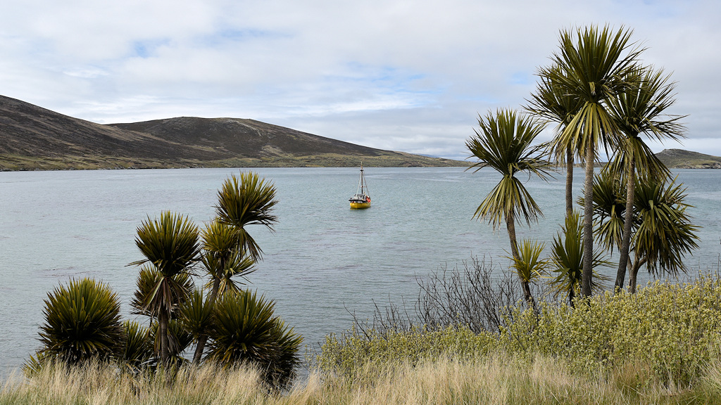 s844 CarcassIsland 9583