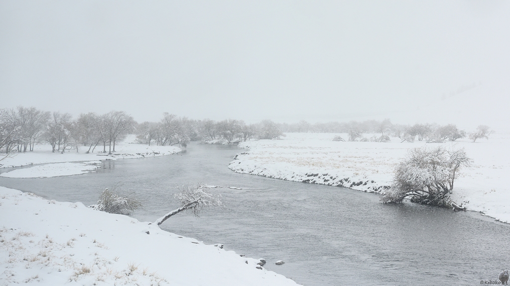 s856 Fluss 3782