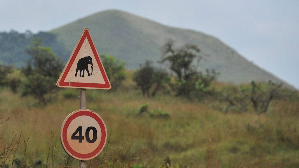 s858 Warnschild vor 40 Elefanten 6205