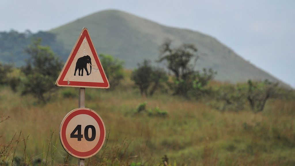 s858 Warnschild vor 40 Elefanten 6205