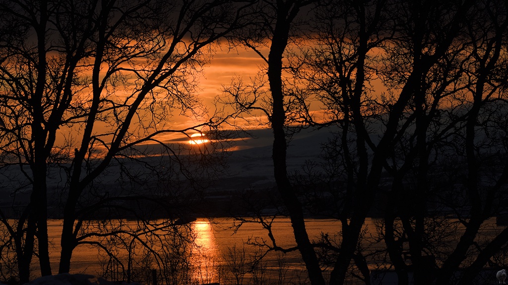 s963 Tromsö Sonnenuntergang 9841