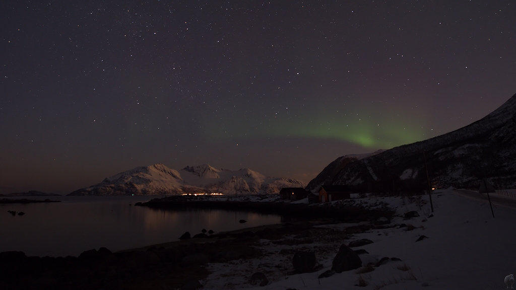 s992 Grötfjord Nordlicht 9501  1