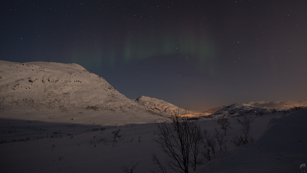 s995 Kattfjordeidet Nordlicht 9578  1