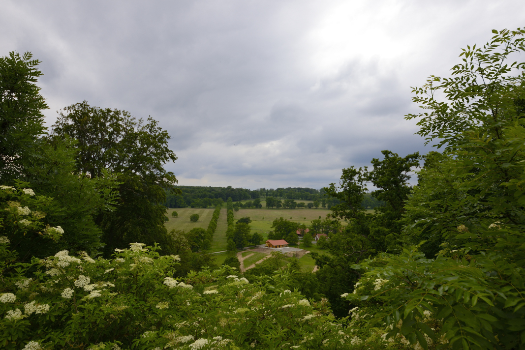 Sababurg - Dornröschenschloß_029_01.JPG
