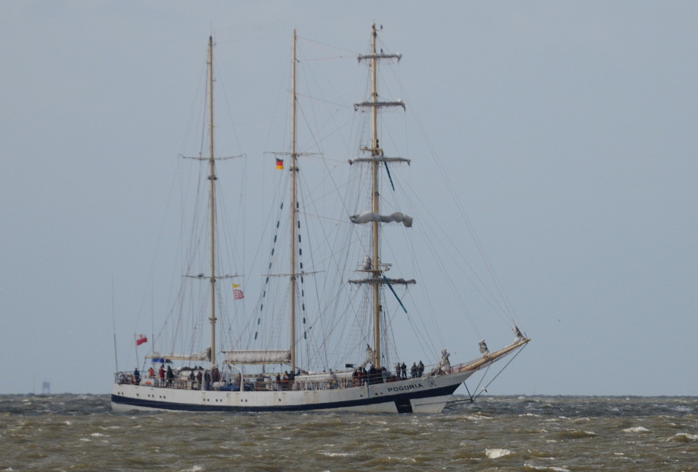 sail 14 JKK 8666
