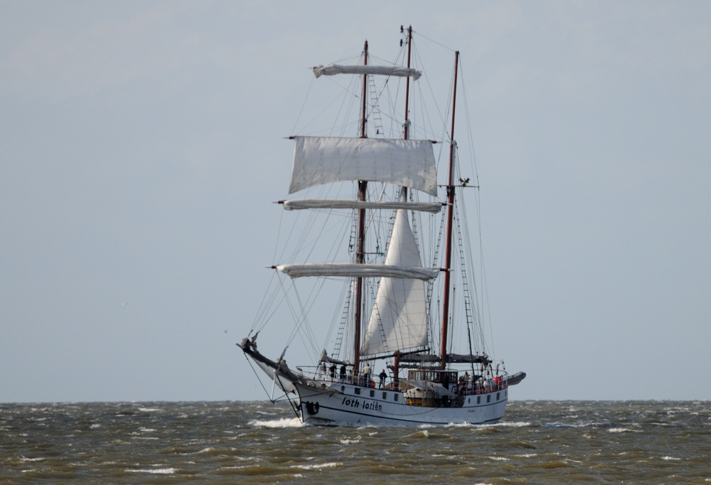 sail13 JKK 8665
