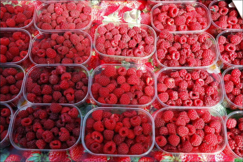 Saisonfrüchte 09 / 2010