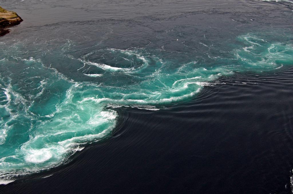 saltstraumen 3.mai 08 181 2