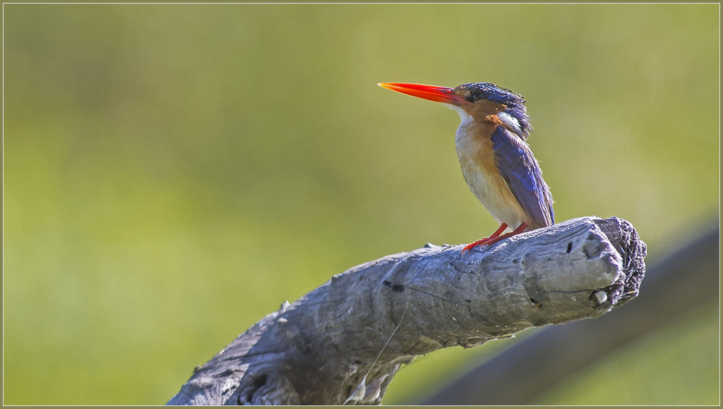 Sambia 0427