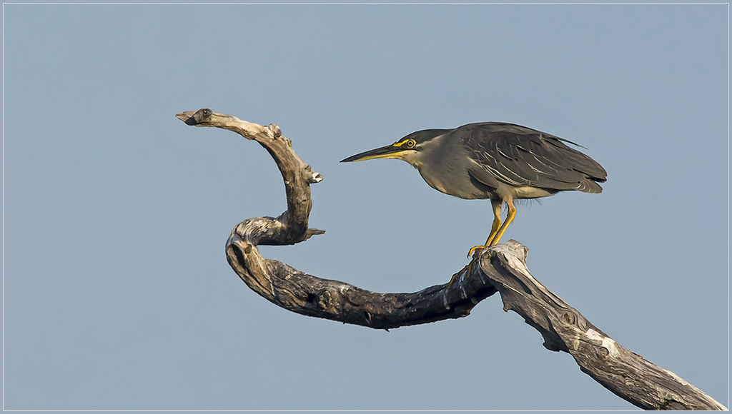 Sambia 3058