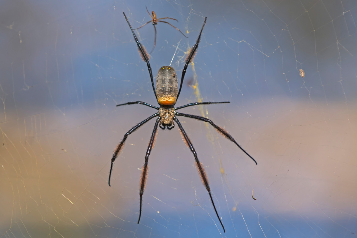 Sambia_0041.jpg