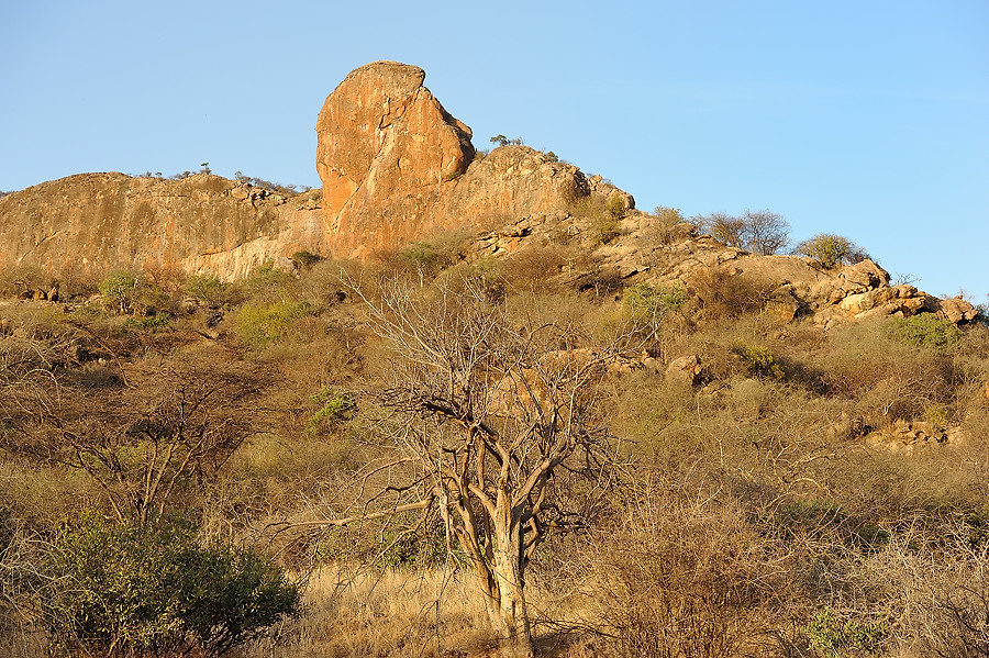 Samburu2 DSC 1696