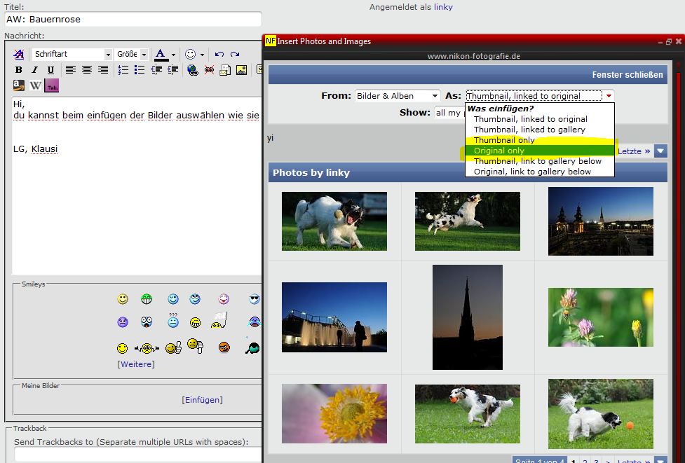 sample insert image