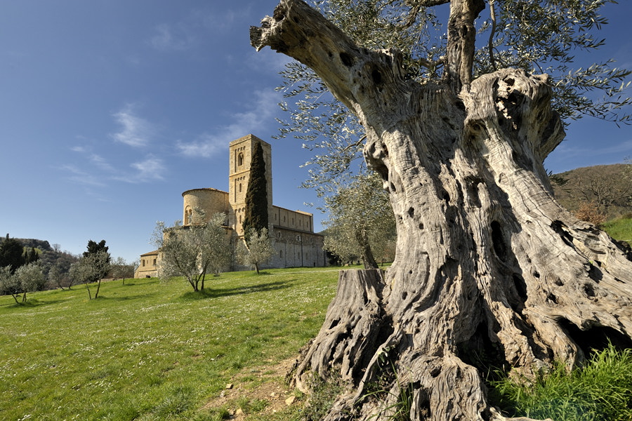 San Antimo 20090318 104841