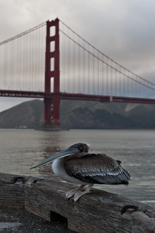 San Francisco