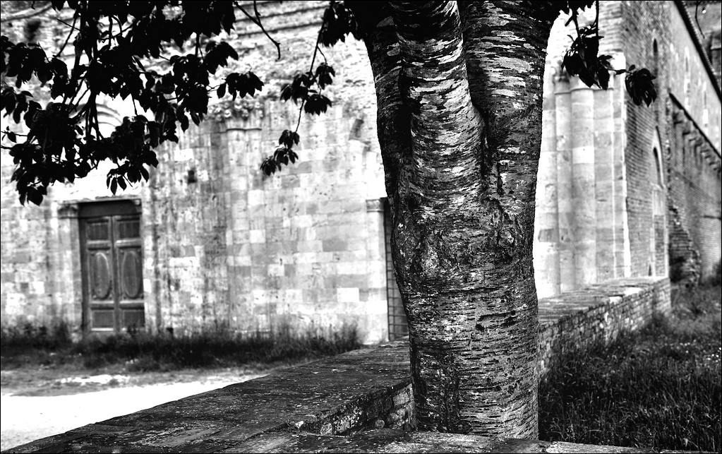 San Galgano, Toscana 05/2010