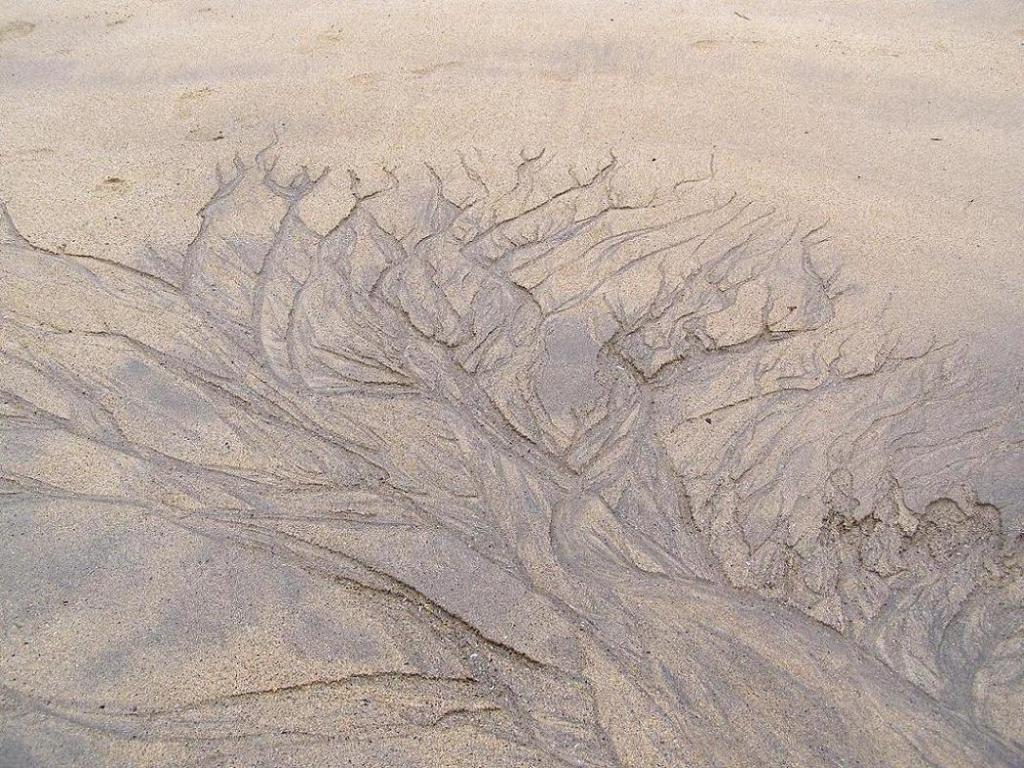 Sandbaum