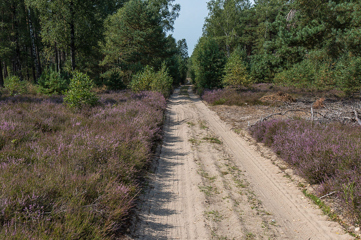 Sandweg (1 von 1).JPG