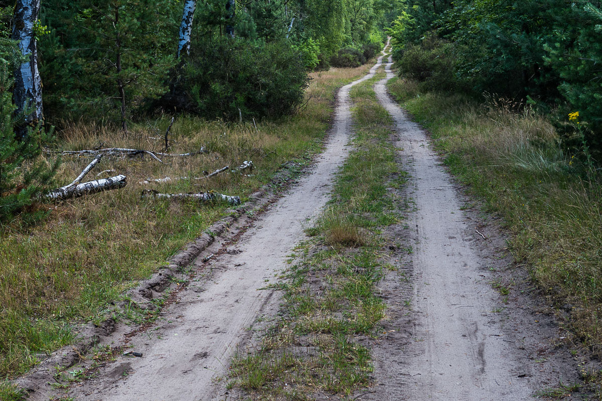 Sandweg-.jpg