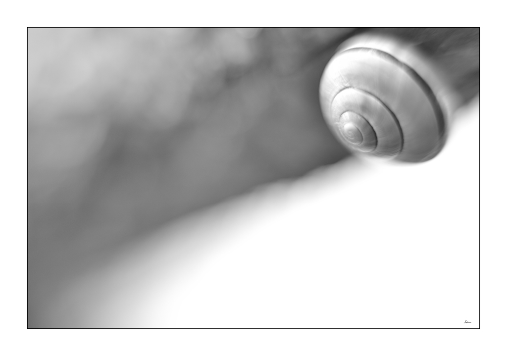SanftPZ1 2668