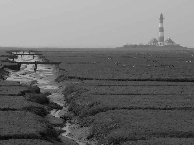 Sankt Peter Ording Mai 05 104