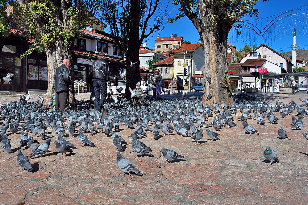 Sarajevo 15.10.2011