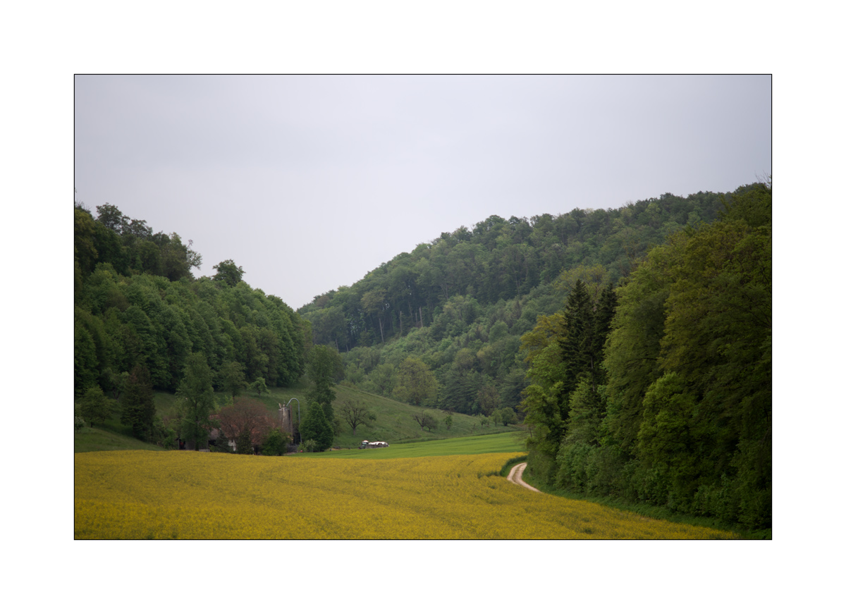 SasaDSC_0032.jpg