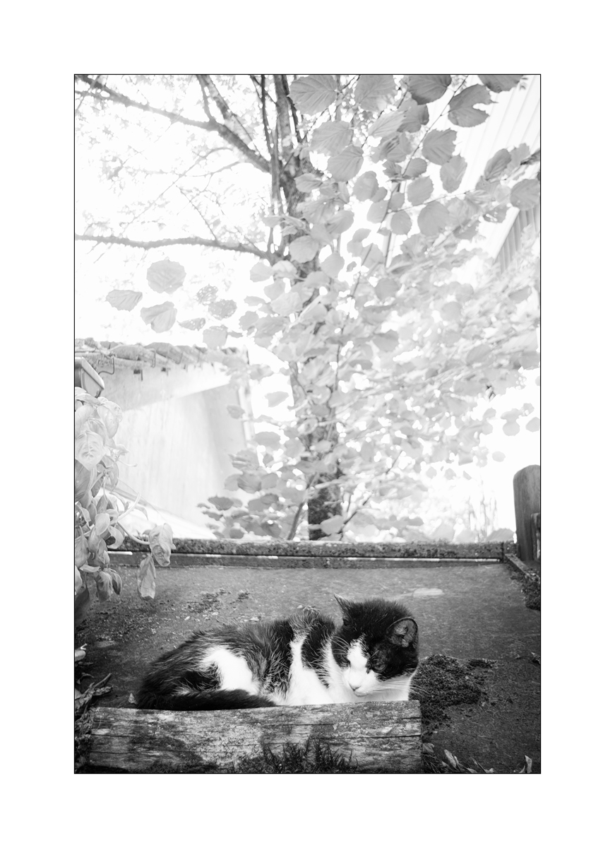 full