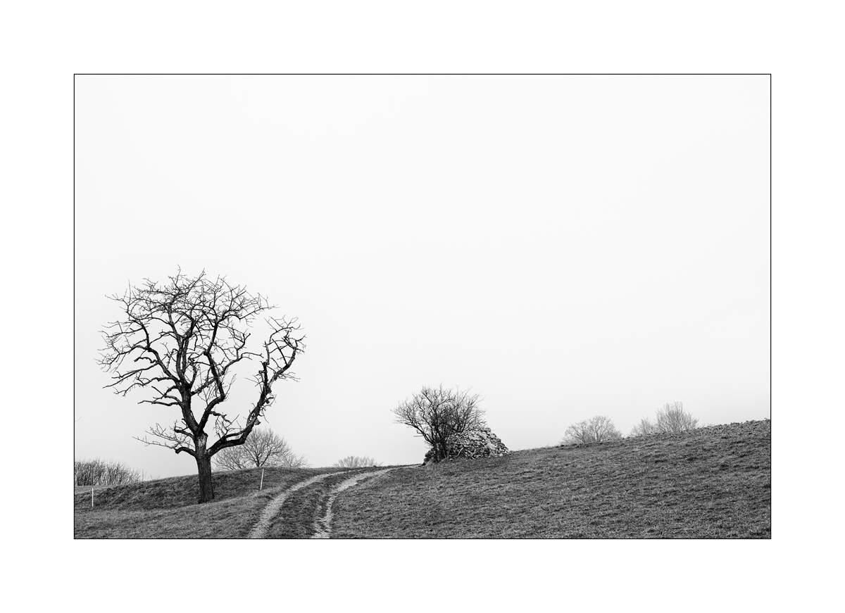 SasaDSC_4522.jpg