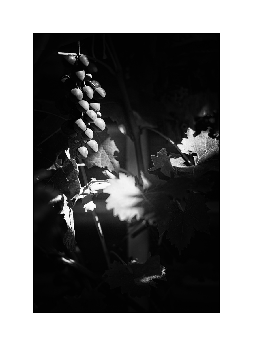 full